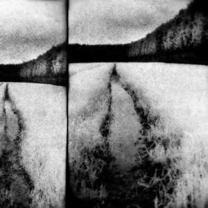 Album Tenebrous Liar: The Cut