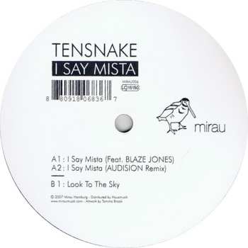 LP Tensnake: I Say Mista
