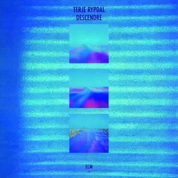 Terje Rypdal: Descendre