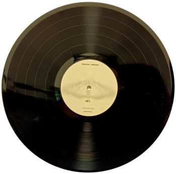 LP Terminal Serious: Fear And Cure LTD | NUM