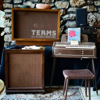 Album Terms: All Becomes Indistinct 