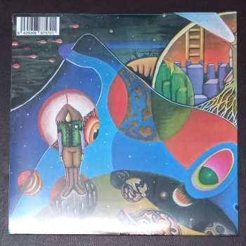 LP Terreno Baldio: Terreno Baldio