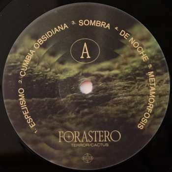 LP Terror/Cactus: Forastero LTD
