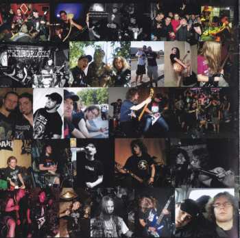 CD Terrordome: We'll Show You Mosh, Bitch! LTD