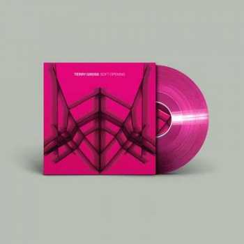 Album Terry Gross: Soft Opening