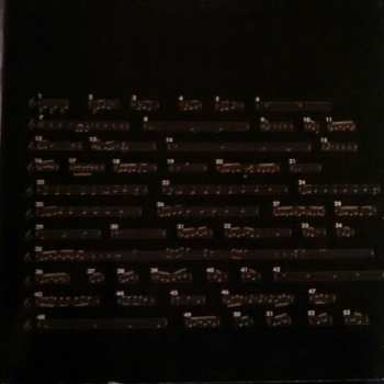 LP Terry Riley: In C