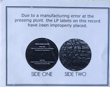 LP Thalia Zedek Band: Liars And Prayers