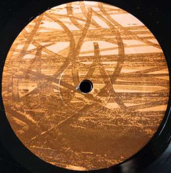 LP Thalia Zedek Band: Liars And Prayers