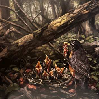 Album The Acacia Strain: Step Into The Light