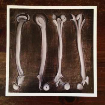 LP The Almost: Fear Inside Our Bones CLR