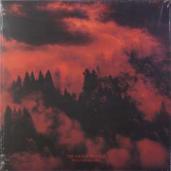 6LP/Dobozkészlet The Angelic Process: We All Die Laughing DLX | LTD