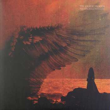 6LP/Dobozkészlet The Angelic Process: We All Die Laughing DLX | LTD