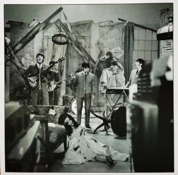 LP The Animals: Animalisms CLR