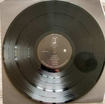 LP Catfish And The Bottlemen: The Balance 