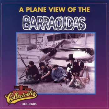 CD The Barracudas: A Plane View Of The Barracudas