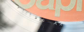 LP The Beach Boys: 20 Grössten Hits