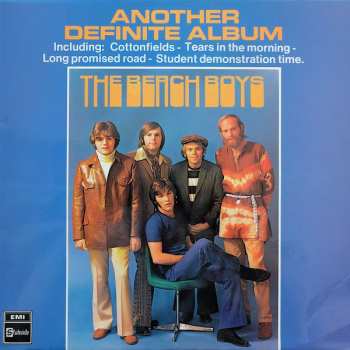 LP The Beach Boys: Another Definite Album