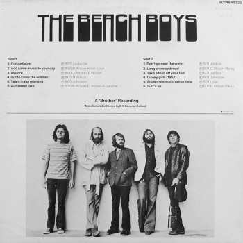 LP The Beach Boys: Another Definite Album