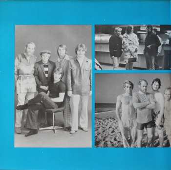 2LP The Beach Boys: The Beach Boys