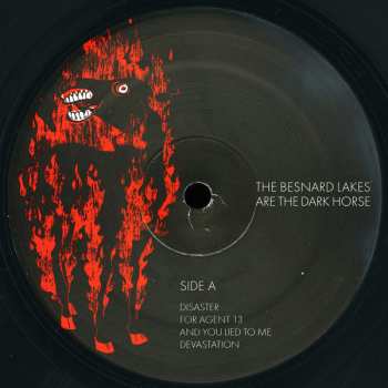 LP The Besnard Lakes: The Besnard Lakes Are The Dark Horse
