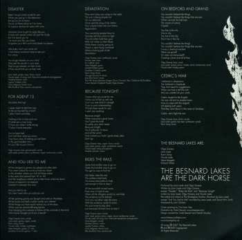 LP The Besnard Lakes: The Besnard Lakes Are The Dark Horse