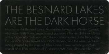 LP The Besnard Lakes: The Besnard Lakes Are The Dark Horse