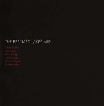 CD The Besnard Lakes: The Besnard Lakes Are The Dark Horse