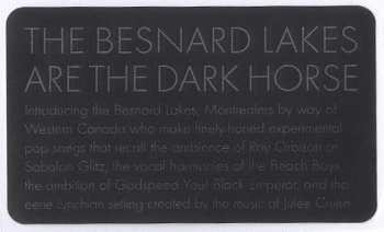 CD The Besnard Lakes: The Besnard Lakes Are The Dark Horse
