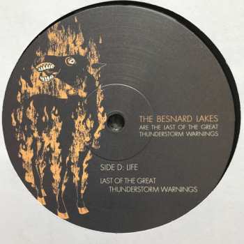 LP The Besnard Lakes: The Besnard Lakes Are The Last Of The Great Thunderstorm Warnings