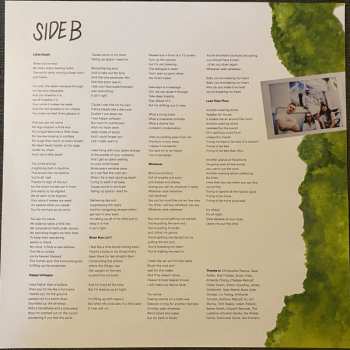 LP The Beths: Future Me Hates Me CLR | LTD