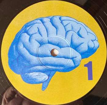 2LP The Bevis Frond: The Clocks