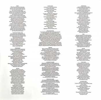 2LP The Bevis Frond: We're Your Friends, Man