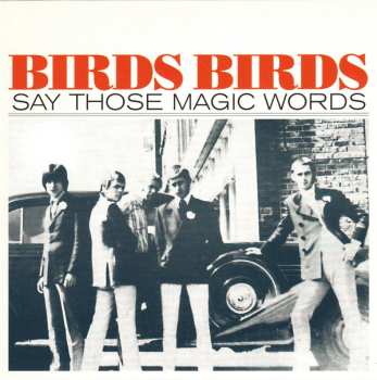 5SP/Dobozkészlet The Birds: The Birds Ride Again LTD