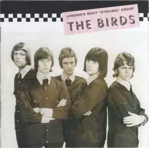 The Birds: The Collectors' Guide To Rare British Birds