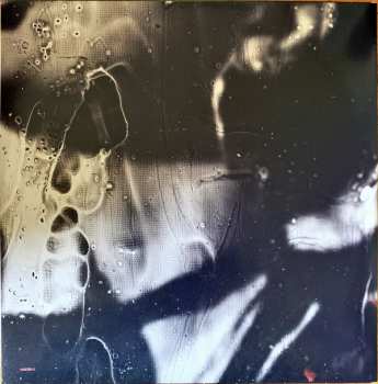 2LP Evanescence: The Bitter Truth