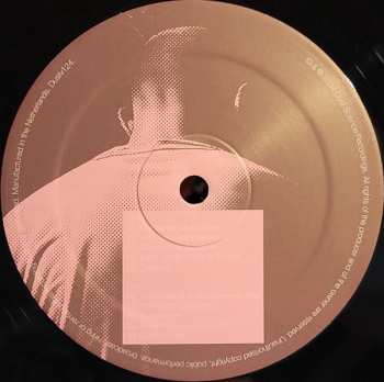 2LP The Black Dog: Other, Like Me