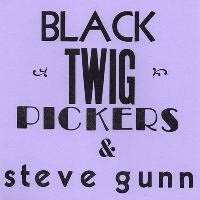SP Steve Gunn: Lonesome Valley LTD | NUM