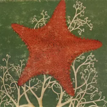 The Blithe Sons: Arm Of The Starfish