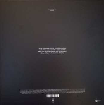 2LP/2CD/DVD/SP/Dobozkészlet Suede: The Blue Hour DLX | LTD