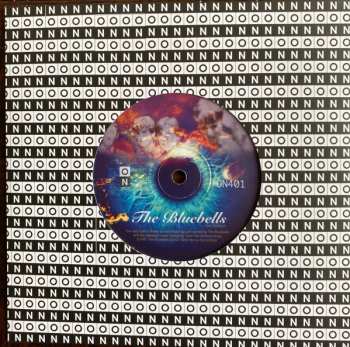 SP The Bluebells: Everybody's Somebody's Fool CLR | LTD