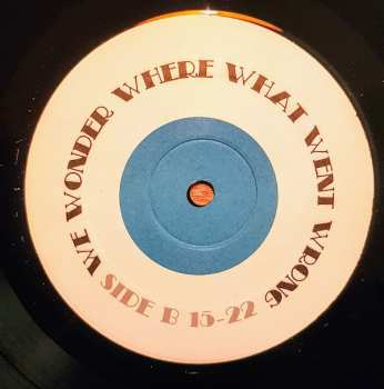 2LP The Books: Music For A French Elevator And Other Short Format Oddities By The Books LTD