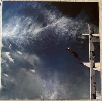 LP The Boxer Rebellion: Promises CLR | LTD