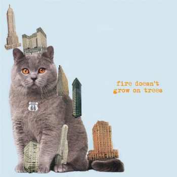 Album The Brian Jonestown Massacre: Fire Doesn't Grow On Trees