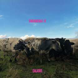 CD The Calicos: Sugarcoat It