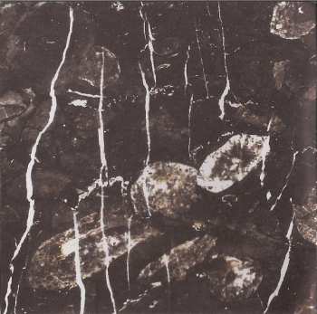 CD The Callas: Am I Vertical?