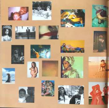 CD The Carters: Everything Is Love