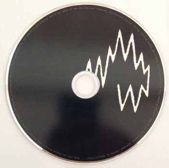 CD The Chemical Brothers: Born In The Echoes