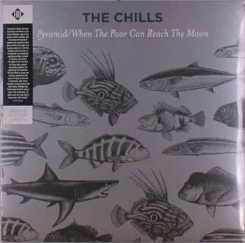 Album The Chills: Pyramid / When The Poor Can Reach The Moon