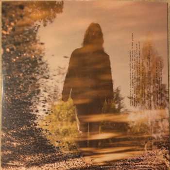 2LP The Chris Robinson Brotherhood: Barefoot In The Head