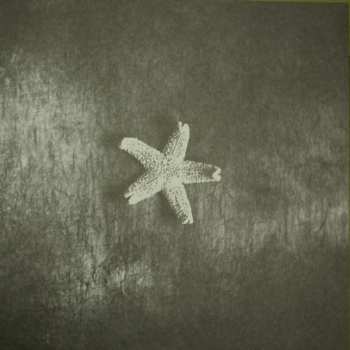 LP The Church: Starfish